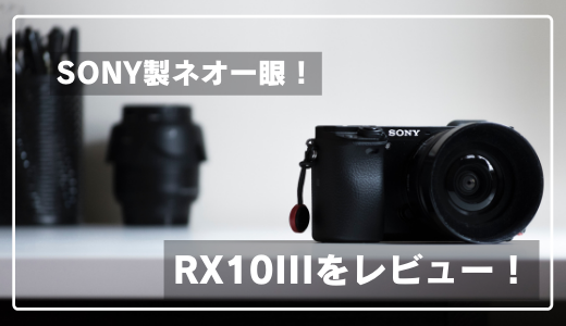 【名機】SONY製ネオ一眼 RX10IIIをレビュー！